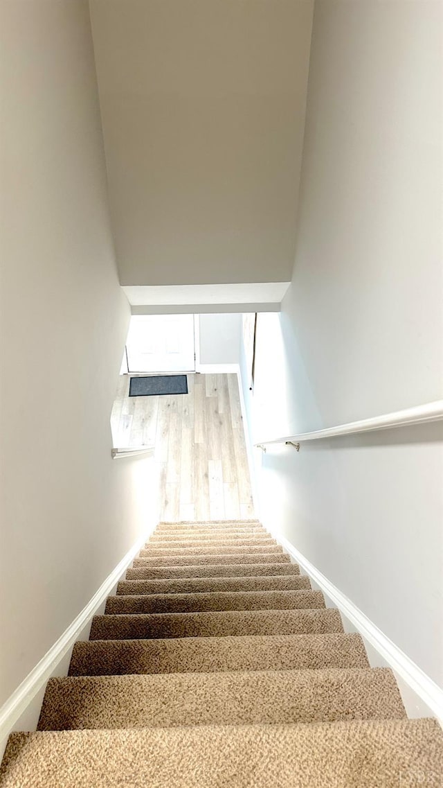 3600 Old Forest Rd Unit 34, Lynchburg, VA 24501 - photo 22