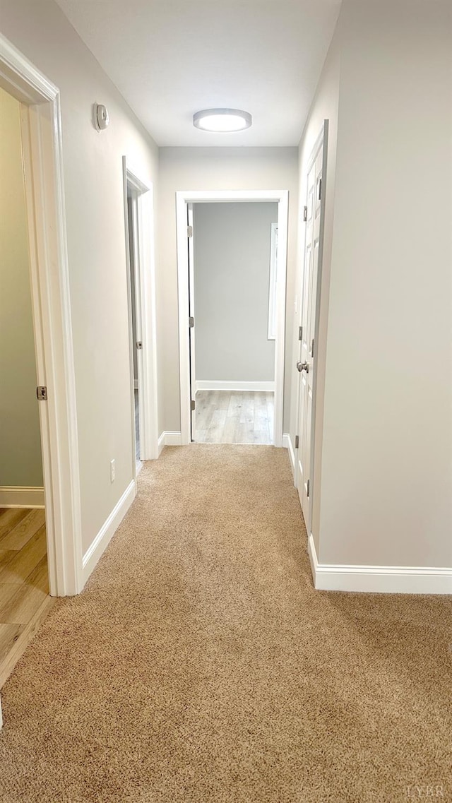 3600 Old Forest Rd Unit 34, Lynchburg, VA 24501 - photo 27