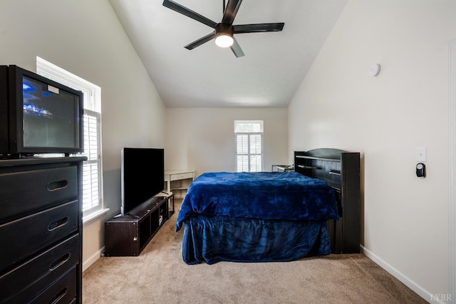 101 Cedar Branch Rd, Lynchburg, VA 24502 - photo 24