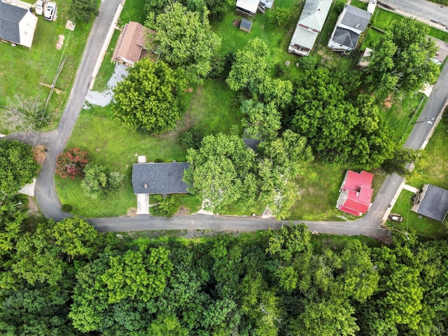 816 Spring St, Lynchburg, VA 24504 - photo 51