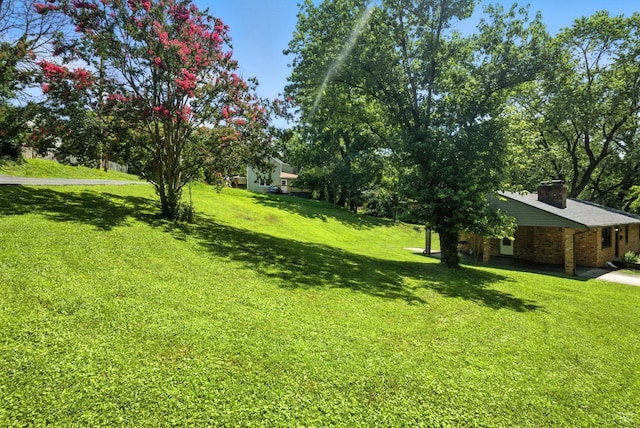 816 Spring St, Lynchburg, VA 24504 - photo 35