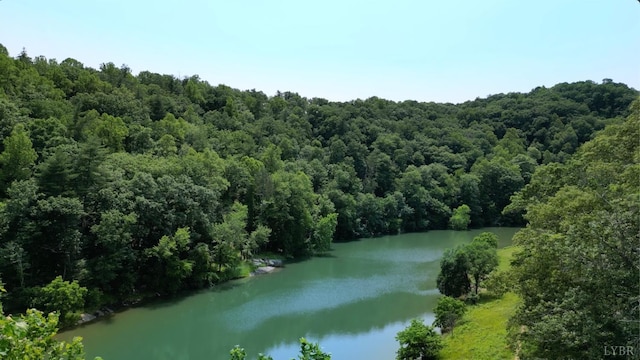 0 River Rock Rd, Vinton, VA 24179 - photo 4