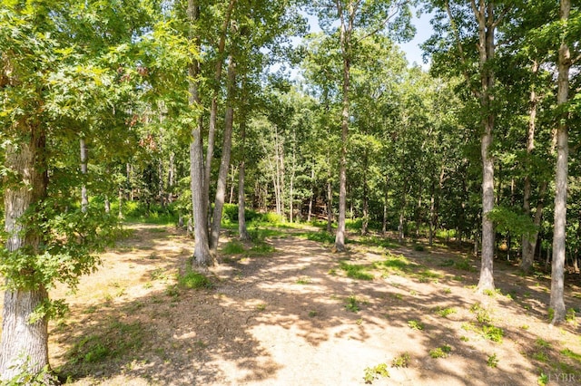 2313 Red Oak School Rd, Concord, VA 24538 - photo 47