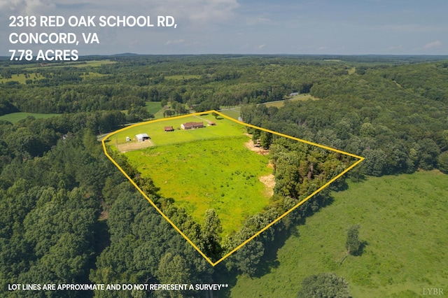 2313 Red Oak School Rd, Concord, VA 24538 - photo 50