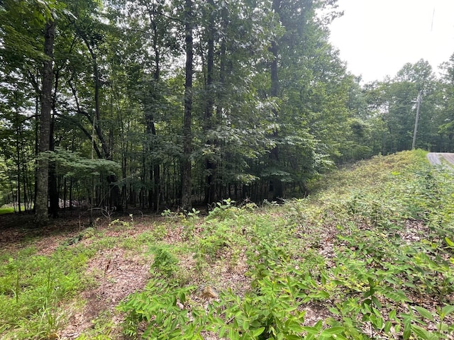 0 Hickory Falls Rd, Blue Ridge, VA 24064 - photo 13