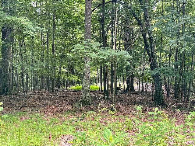 0 Hickory Falls Rd, Blue Ridge, VA 24064 - photo 8