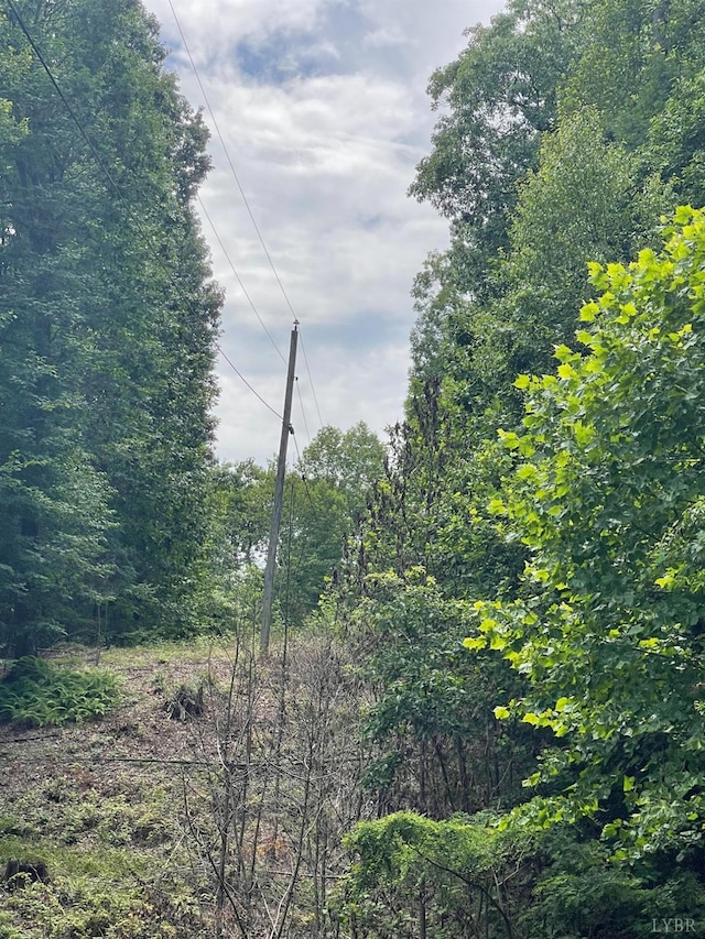 0 Hickory Falls Rd, Blue Ridge, VA 24064 - photo 5