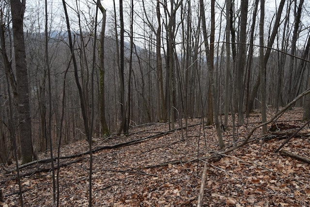 0 Hickory Falls Rd, Blue Ridge, VA 24064 - photo 2