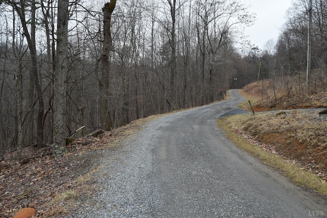 0 Hickory Falls Rd, Blue Ridge, VA 24064 - photo 4