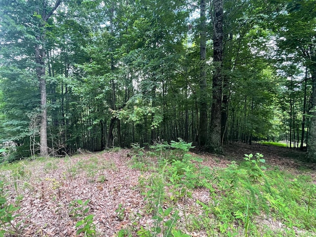 0 Hickory Falls Rd, Blue Ridge, VA 24064 - photo 15