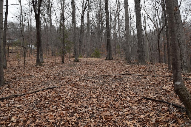 0 Hickory Falls Rd, Blue Ridge, VA 24064 - photo 3