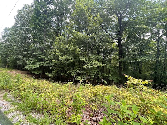 0 Hickory Falls Rd, Blue Ridge, VA 24064 - photo 18