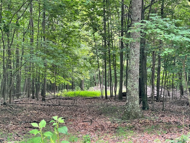 0 Hickory Falls Rd, Blue Ridge, VA 24064 - photo 11