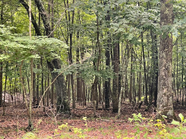 0 Hickory Falls Rd, Blue Ridge, VA 24064 - photo 12