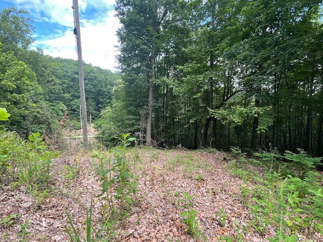 0 Hickory Falls Rd, Blue Ridge, VA 24064 - photo 16