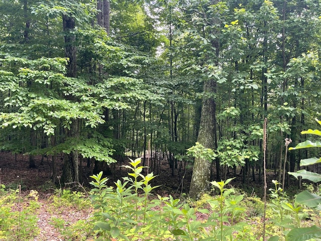 0 Hickory Falls Rd, Blue Ridge, VA 24064 - photo 17