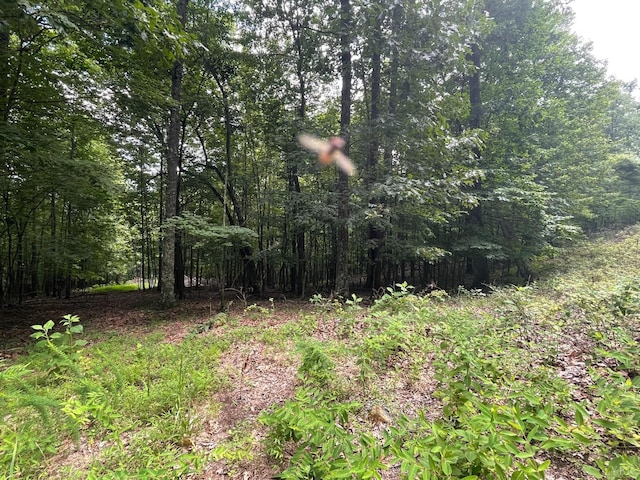 0 Hickory Falls Rd, Blue Ridge, VA 24064 - photo 14