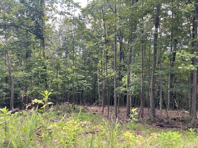 0 Hickory Falls Rd, Blue Ridge, VA 24064 - photo 20
