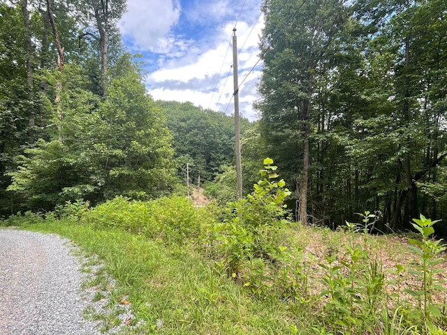 0 Hickory Falls Rd, Blue Ridge, VA 24064 - photo 10