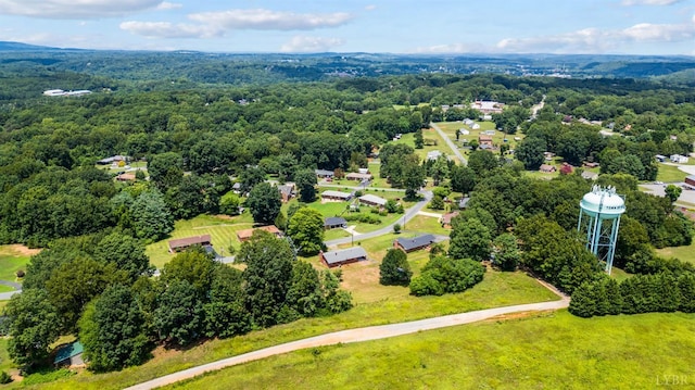 606 Spring St, Hurt, VA 24563 - photo 7