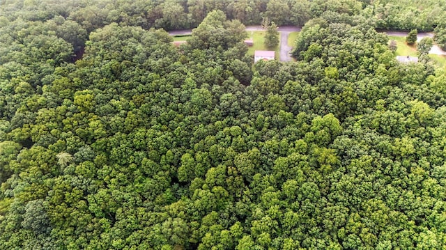 199 Braxton Ridge Rd, Amherst, VA 24521 - photo 59