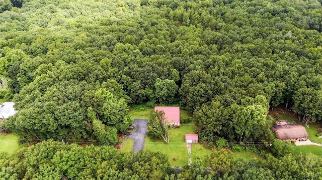 199 Braxton Ridge Rd, Amherst, VA 24521 - photo 55
