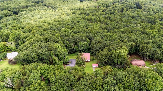 199 Braxton Ridge Rd, Amherst, VA 24521 - photo 57