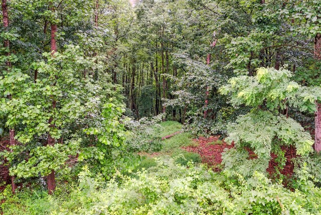 199 Braxton Ridge Rd, Amherst, VA 24521 - photo 50