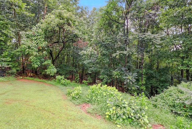 199 Braxton Ridge Rd, Amherst, VA 24521 - photo 44