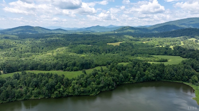 549 Thrashers Creek Rd, Amherst, VA 24521 - photo 4