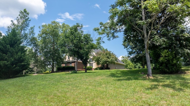 549 Thrashers Creek Rd, Amherst, VA 24521 - photo 60