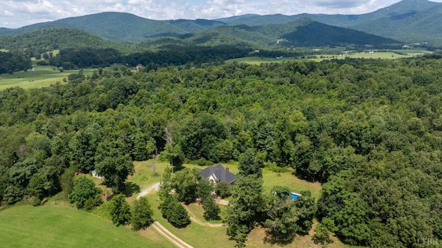 549 Thrashers Creek Rd, Amherst, VA 24521 - photo 8