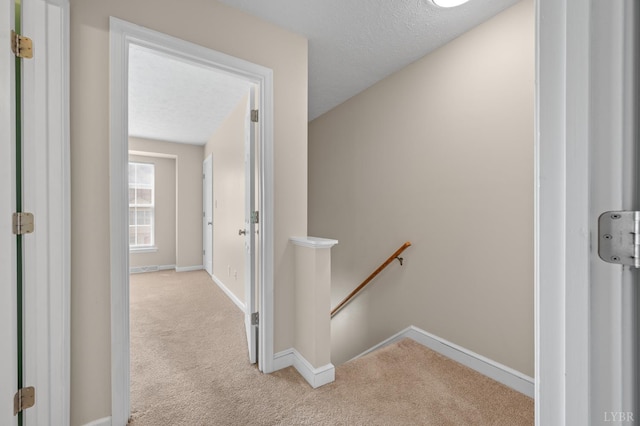 5 Blackberry Ct, Lynchburg, VA 24502 - photo 24