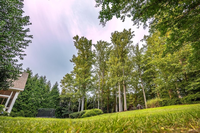 1227 Jefferson Dr W, Forest, VA 24551 - photo 81