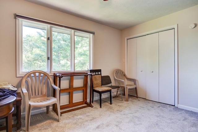 1314 Wood Rd, Lynchburg, VA 24502 - photo 17