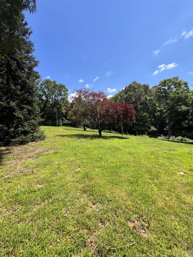 2785 Pera Rd, Monroe, VA 24574 - photo 37