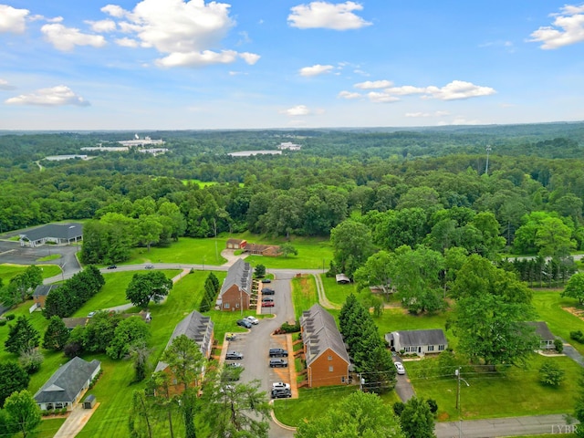 824 Wiggington Rd Unit 303, Lynchburg, VA 24502 - photo 29
