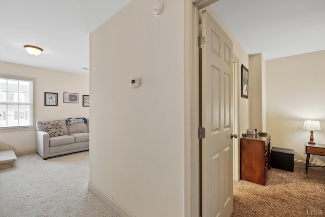 824 Wiggington Rd Unit 303, Lynchburg, VA 24502 - photo 14