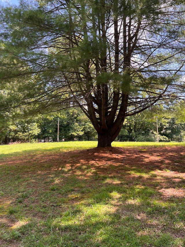 0 Pera Rd, Monroe, VA 24574 - photo 3