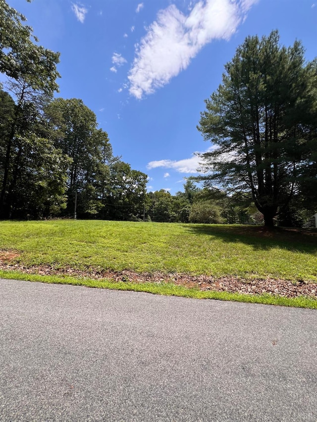 0 Pera Rd, Monroe, VA 24574 - photo 5