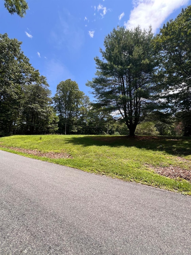 0 Pera Rd, Monroe, VA 24574 - photo 6