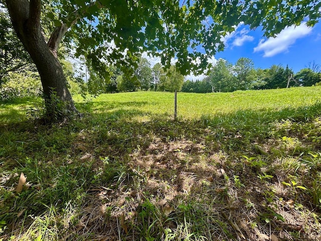 0 Stewartsville Rd, Vinton, VA 24179 - photo 51