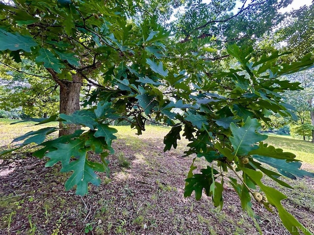 0 Stewartsville Rd, Vinton, VA 24179 - photo 23