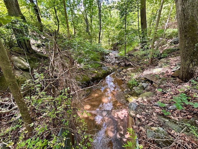 0 Stewartsville Rd, Vinton, VA 24179 - photo 5