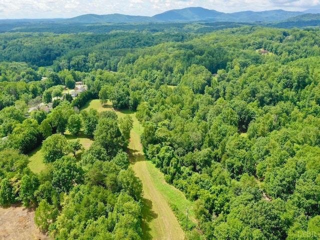 0 Stewartsville Rd, Vinton, VA 24179 - photo 22