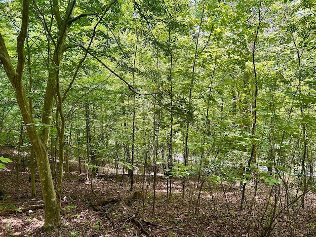 0 Stewartsville Rd, Vinton, VA 24179 - photo 44