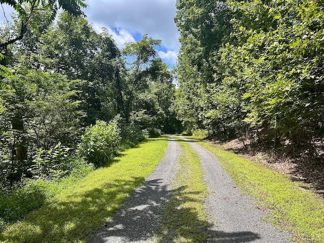 0 Stewartsville Rd, Vinton, VA 24179 - photo 6