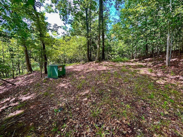 0 Stewartsville Rd, Vinton, VA 24179 - photo 8