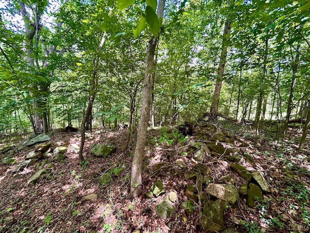0 Stewartsville Rd, Vinton, VA 24179 - photo 41