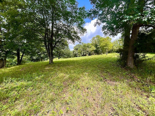 0 Stewartsville Rd, Vinton, VA 24179 - photo 33